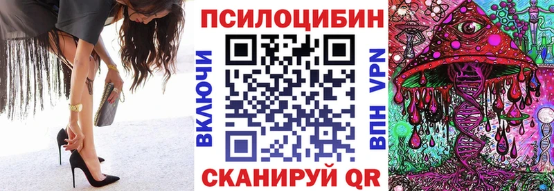 купить наркотики сайты  Шиханы  Псилоцибиновые грибы ЛСД 